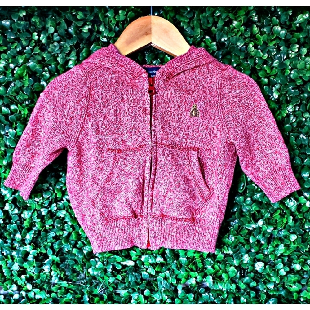 8. 2/$20 Gap Baby hooded sweatshirt